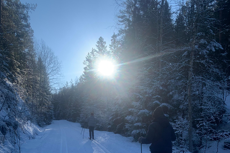 Oslo: Wilderness Skiing Tour with Lunch by the Fire