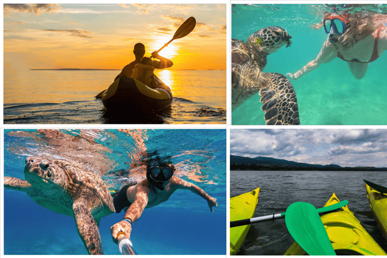 Mirissa: Whale Watching, Turtle Snorkeling, & Kayaking Tour