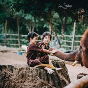 From Chiang Mai: Kerchor Eco Elephant Park Tour