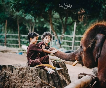 From Chiang Mai: Kerchor Eco Elephant Park Tour