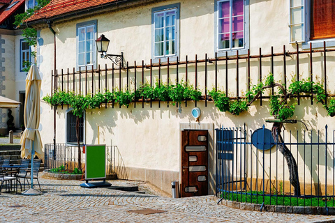 Ljubljana: Maribor & Ptuj: Slovenia’s Oldest Towns Day Tour