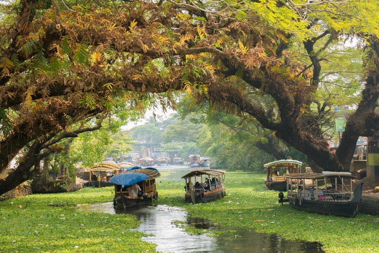 From Cochin: 8-Day Private Kerala Tour with Houseboat Stay Tour Without Accommodation