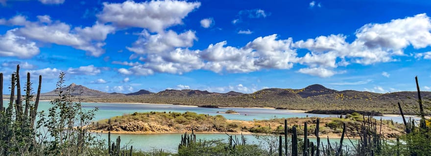 Bonaire : visite privée des temps forts - Nord et Sud