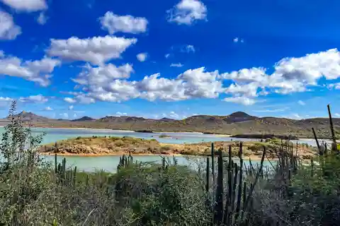 Bonaire: VIP privétour op een eiland - Noord & Zuid