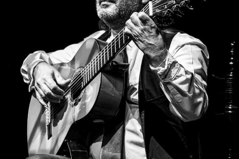 Granada: Show "Sensaciones" Flamenco Theater Granada GENERAL