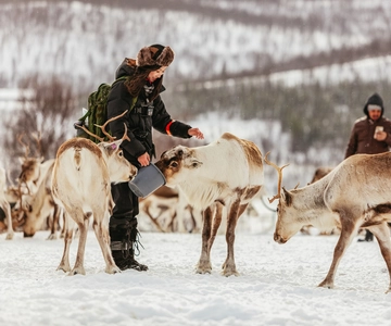 Tromsø: Reindeer Sledding & Feeding with a Sami Guide