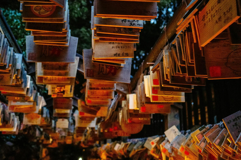 Tokyo: Kawagoe and Kasukabe Private Day Trip
