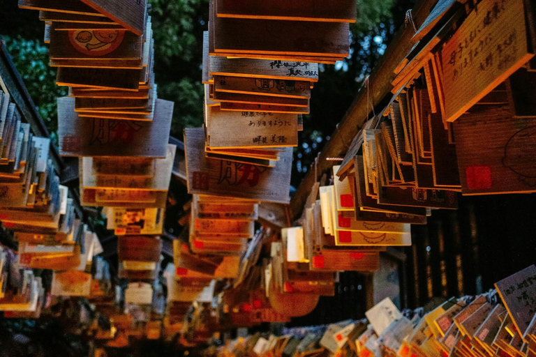Tokyo: Kawagoe and Kasukabe Private Day Trip