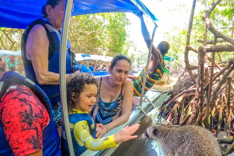 Escape from Cartagena to Isla de Baru and see the Mangroves!