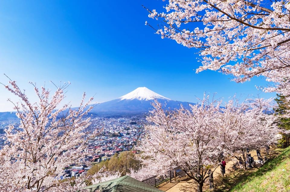 Tokio Tagestour Zum Mt Fuji Oshino Hakkai Und Kawaguchi See