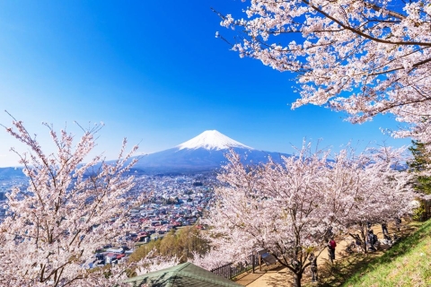 Tokyo : Région du Mont Fuji, Oshino Hakkai et lac KawaguchiPoint de rencontre avec la banque de Shinjuku