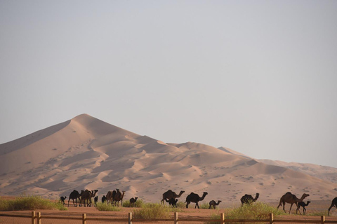 Salalah: Desert Sunset Safari with Quad Bike Ride