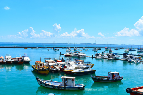 Salvador da Bahia: Full-Day City Tour with Hotelier and Guide Markus