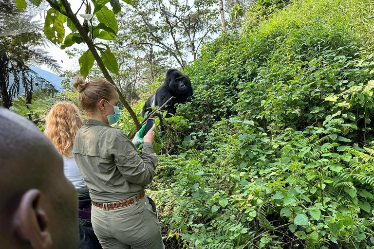 Tour di 7 giorni in Ruanda e Uganda: trekking dei primati e fauna selvatica