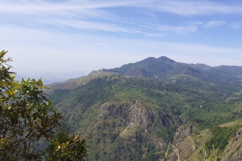 Vacances au Sri Lanka avec 5 jours de trekking sur la piste de PekoeVisite guidée en anglais Visite privée