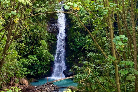 Desde San José: Excursión a las Cascadas y Cavernas fuera de lo común