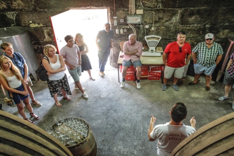 Porto: Dourovallei-tour met cruise, lunch en wijnproeverijRondleiding in het Portugees