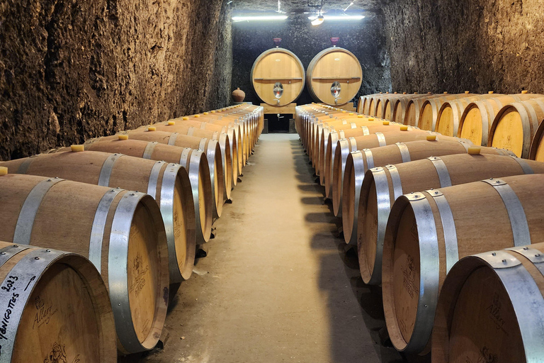 Loire Valley Wine Tour from Paris: 2 Wineries & 10 Tastings Premium Option