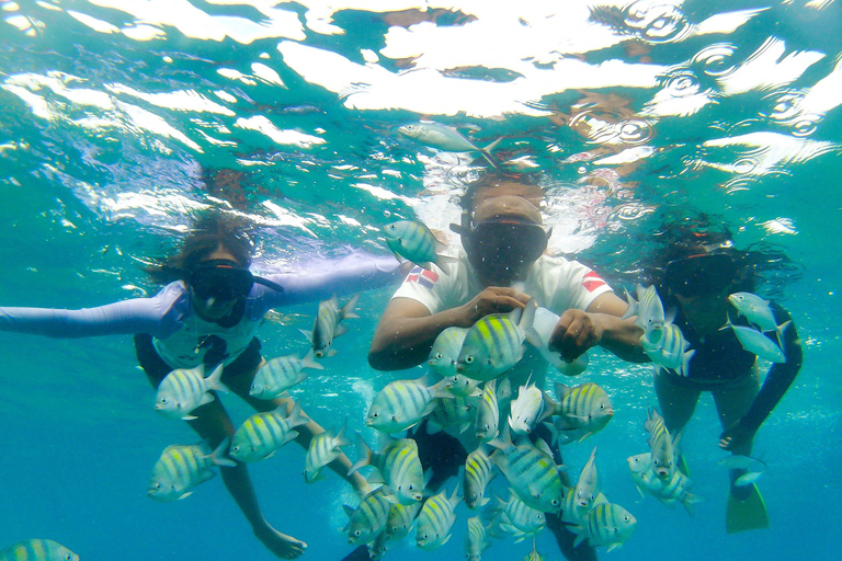 Puerto Plata: party boat with snorkeling, buffet, and tropical drinks