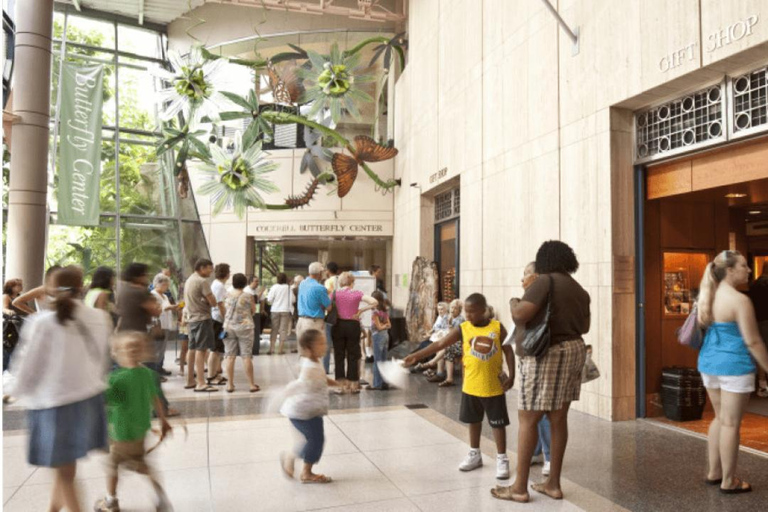 Houston: Ingresso alla mostra sugli squali del Museo di Scienze Naturali