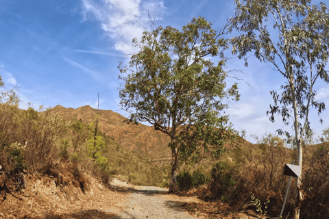 Buggy Tour MijasBuggy Tour Mijas Costa