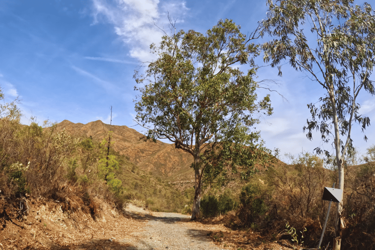 Guided Buggy Tour MijasLas Lagunas de Mijas: Guided Buggy Tour