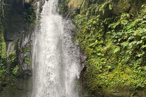 Monkey River, Ubud Market, Waterfall and Art Village Ubud Tour include Ticket