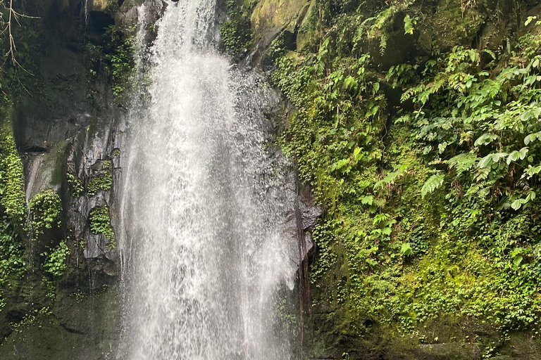 Monkey River, Ubud Market, Waterfall and Art Village Ubud Tour include Ticket