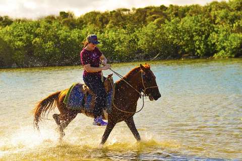 Discover the Trails of Punta Cana on a Horseback Ride