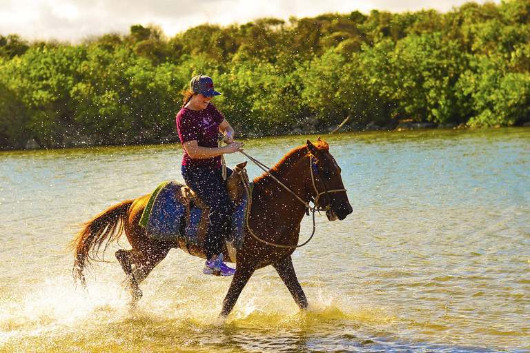 Descubre los Senderos de Punta Cana en un Paseo a Caballo