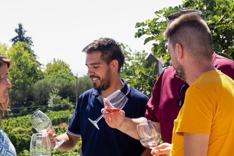 Porto: Experiência autêntica de vinho no Vale do Douro com almoço