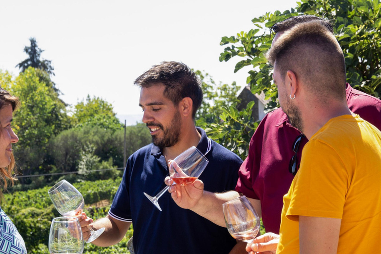 Oporto: Valle del Duero: Una auténtica experiencia vinícola con almuerzo