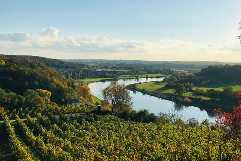 Dresden: Boat Cruise with Wine Tasting and Snacks