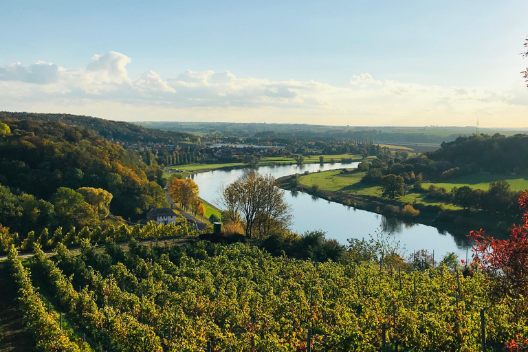 Dresden: Boat Cruise with Wine Tasting and Snacks