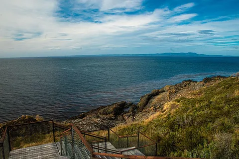Punta Arenas: Tour storico di Fort Bulnes