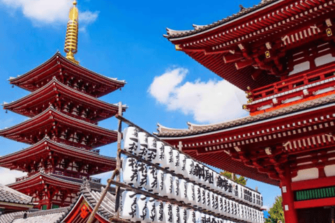 Tokyo Private Sightseeing City Tour With English Driver Tokyo Private Tour Up To 3 persons