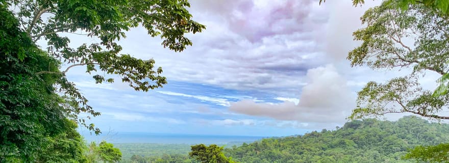 Puerto Viejo ou Cahuita : Excursion aux chutes d'eau cachées de Bribri avec déjeuner