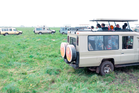 阿鲁沙：曼雅拉湖国家公园一日游
