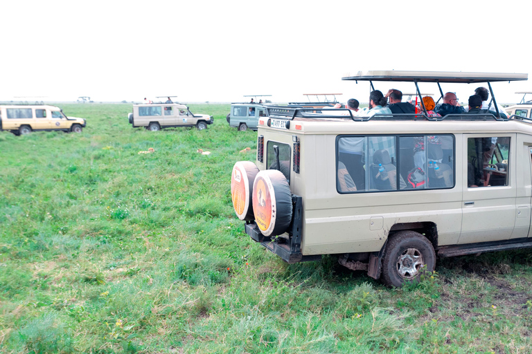 阿鲁沙：曼雅拉湖国家公园一日游