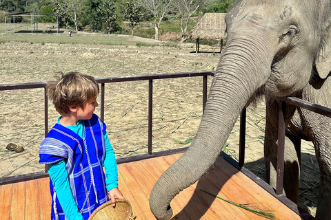 Chiang Mai : Visite de deux jours du sanctuaire du Temple des éléphants