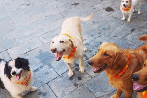 Kathmandu: Kukur Tihar Festival Tour with Local Family