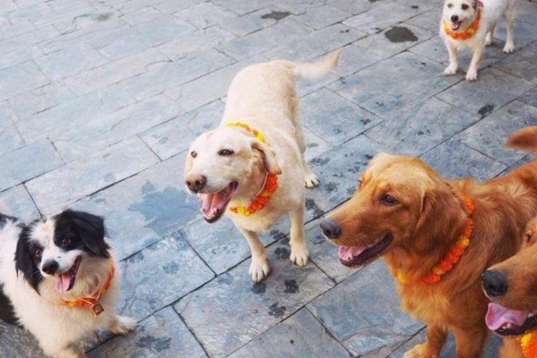 Kathmandu: Kukur Tihar Festival Tour with Local Family