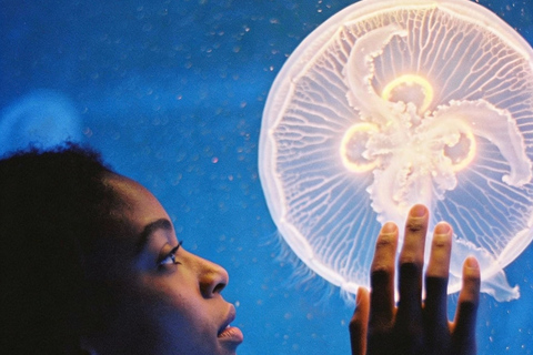 Port Louis: Odysseo Oceanarium Mauritius Ticket