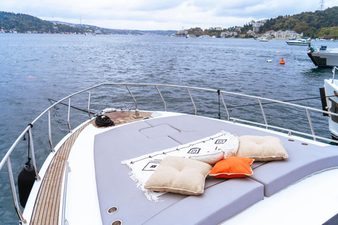 Istanbul: Private Bosporus-Yacht mit Tourguide und SnacksIstanbul: Private Bosphorus Yacht Tour mit Snacks