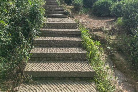 Hangzhou Jiuxi, Shililangdang & Yunqi Day Hiking Tour