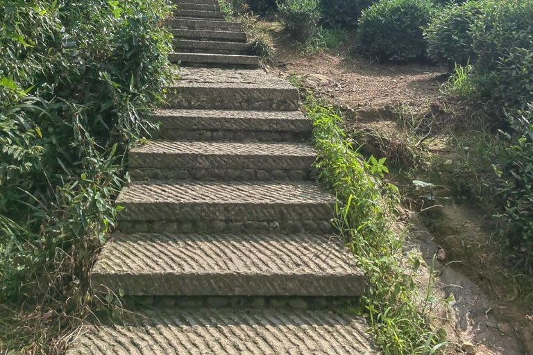 Hangzhou Jiuxi, Shililangdang & Yunqi Day Hiking Tour