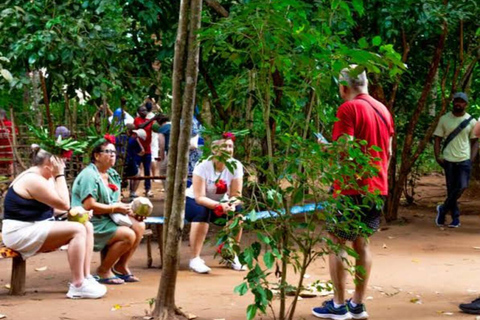 Zanzibar: Spice farm tour with local guide Zanzibar: Spice Farm Tour with Stone Town Pick-Up”