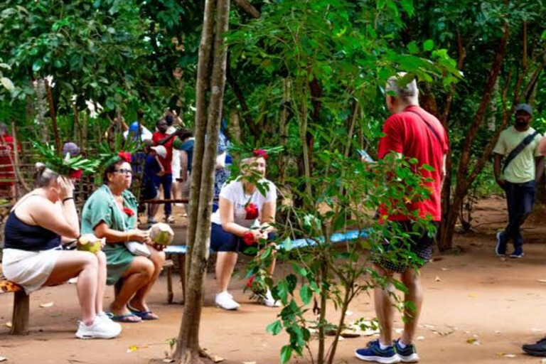 Zanzibar: Spice farm tour with local guide Zanzibar: Spice Farm Tour with Stone Town Pick-Up”