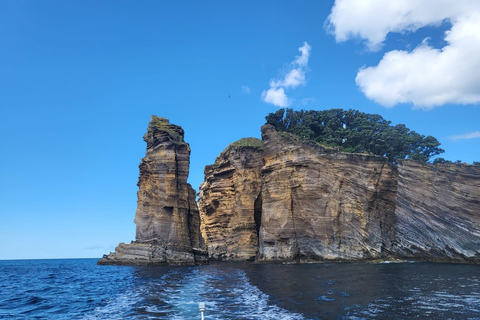 Islet Tour- Ilhéu de Vila Franca do Campo