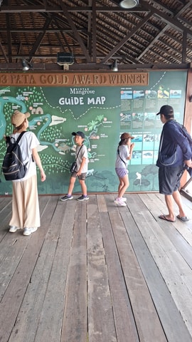 Bintan Mangrove Or Fireflies Tour Entrance Ticket